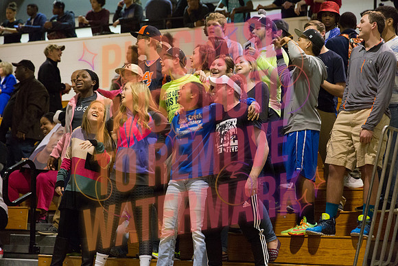 Email bavenphotos@gmail.com for more information.