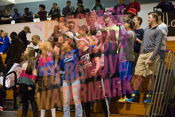 Email bavenphotos@gmail.com for more information.